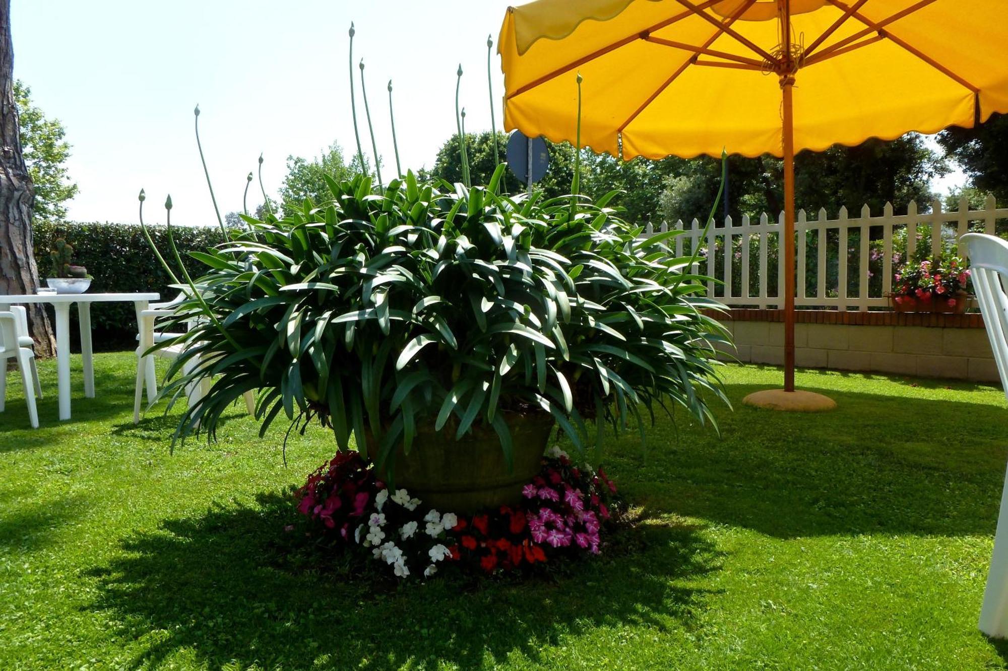 Bed & Breakfast Versilia