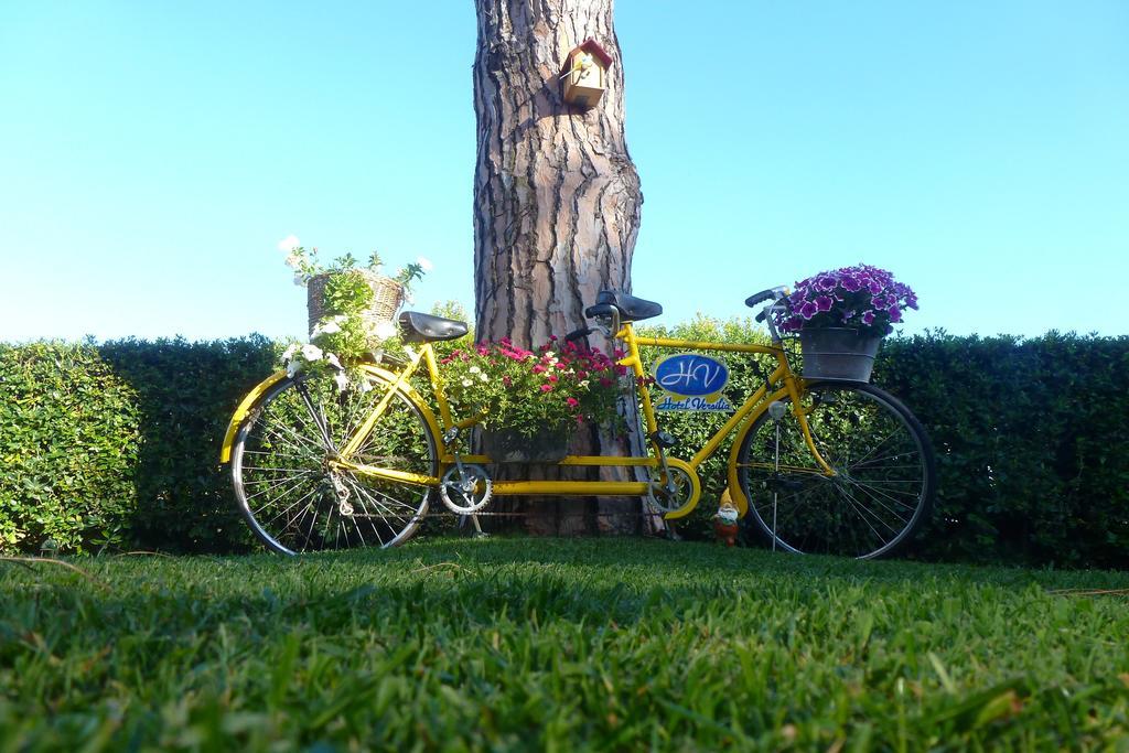 Bed & Breakfast Versilia