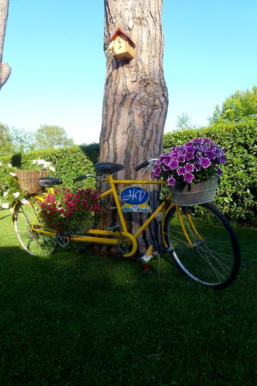 Bed & Breakfast Versilia 2*