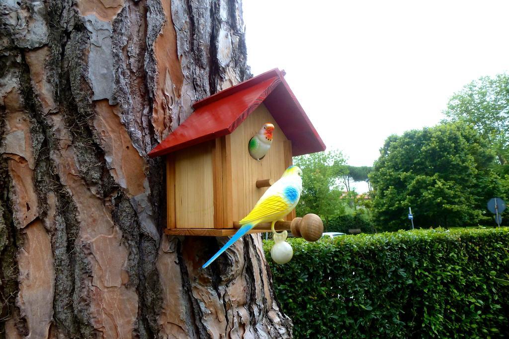 Bed & Breakfast Versilia